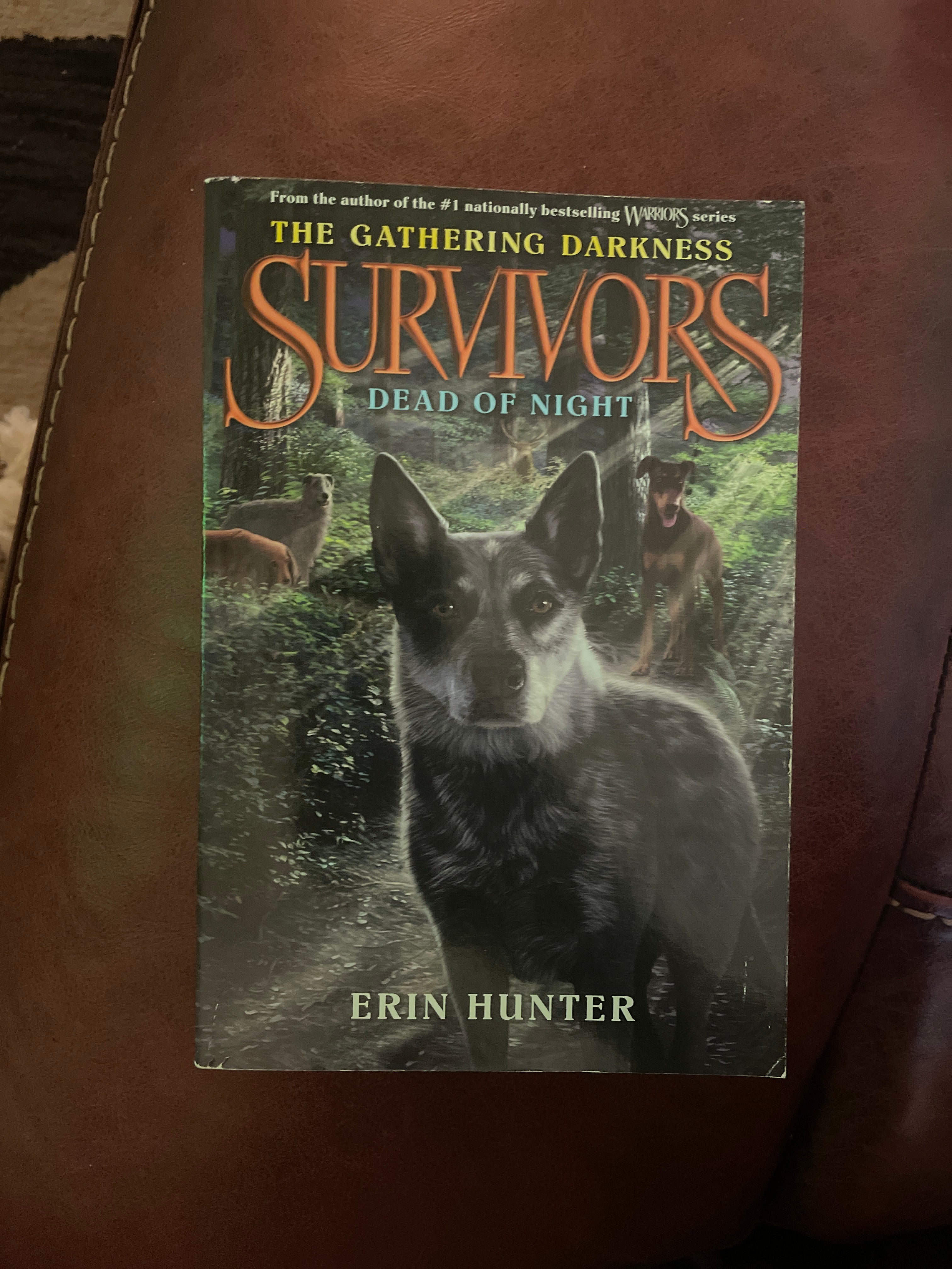 Survivors: the Gathering Darkness #2: Dead of Night