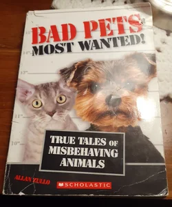 Bad Pets