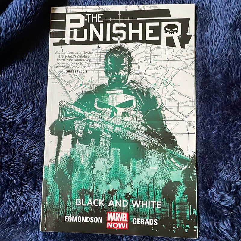 The Punisher Volume 1