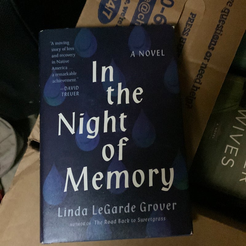 In the Night of Memory