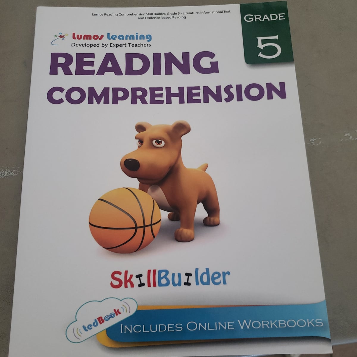 Lumos Reading Comprehension Skill Builder, Grade 5 - Literature ...