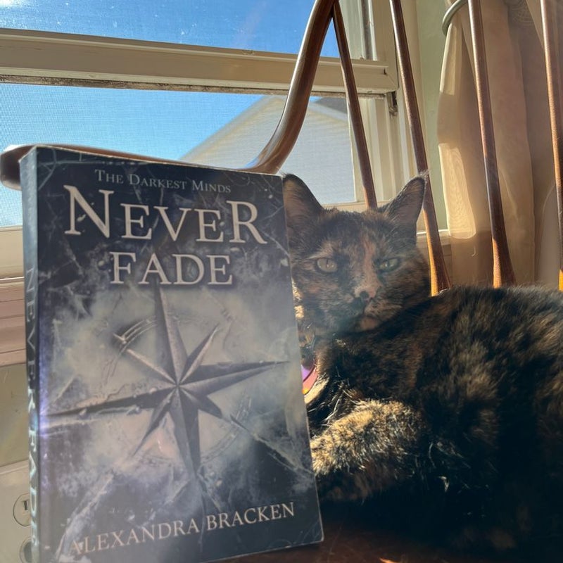 Never Fade (a Darkest Minds Novel)