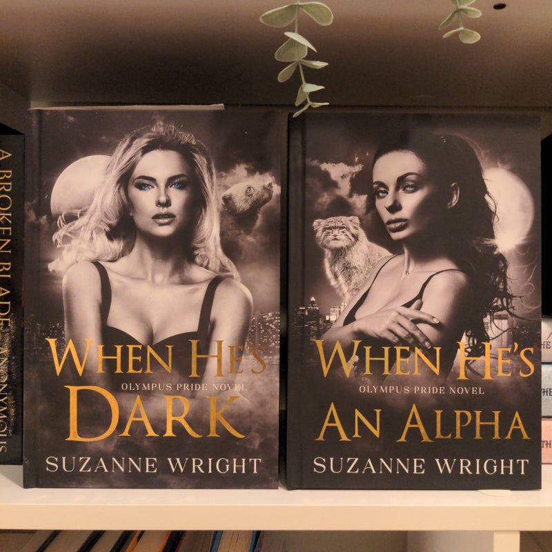 When He's Dark *arcane society special edition* 