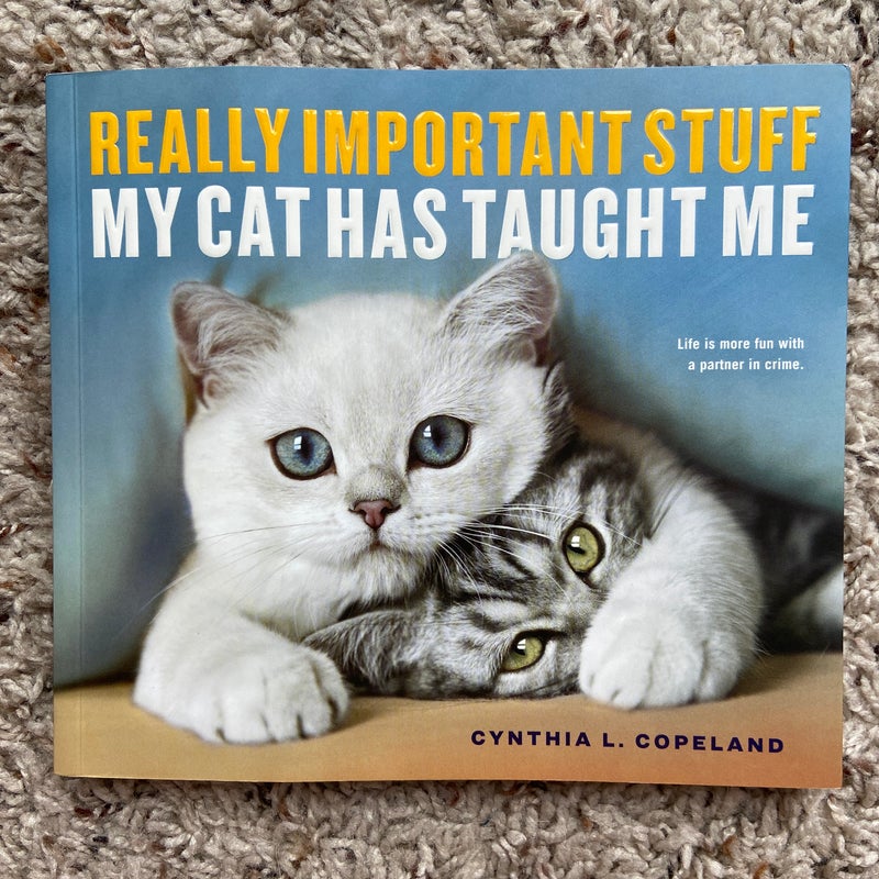 Really Important Stuff My Cat Has Taught Me