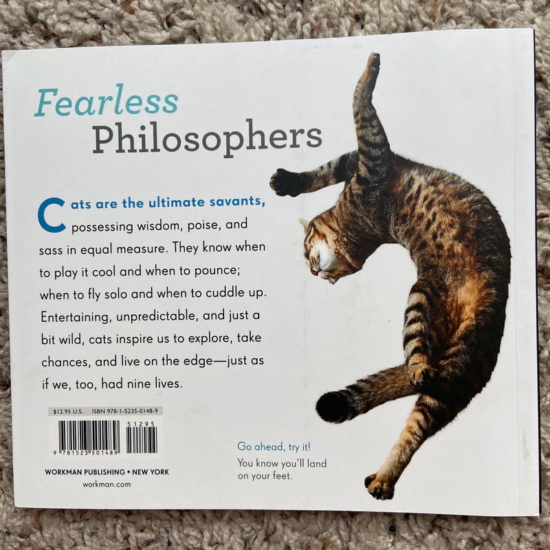 Really Important Stuff My Cat Has Taught Me