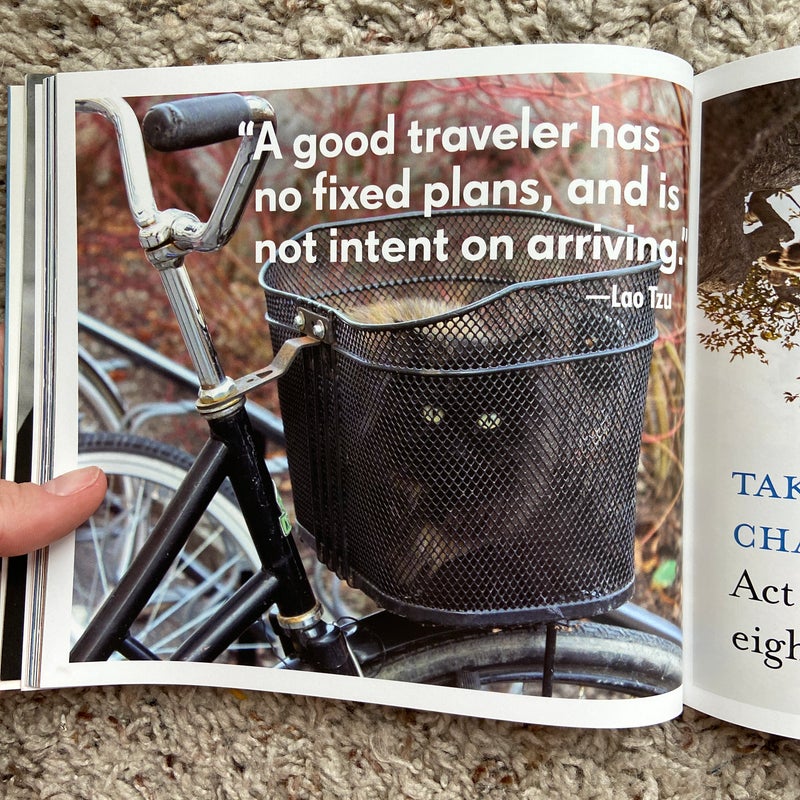 Really Important Stuff My Cat Has Taught Me