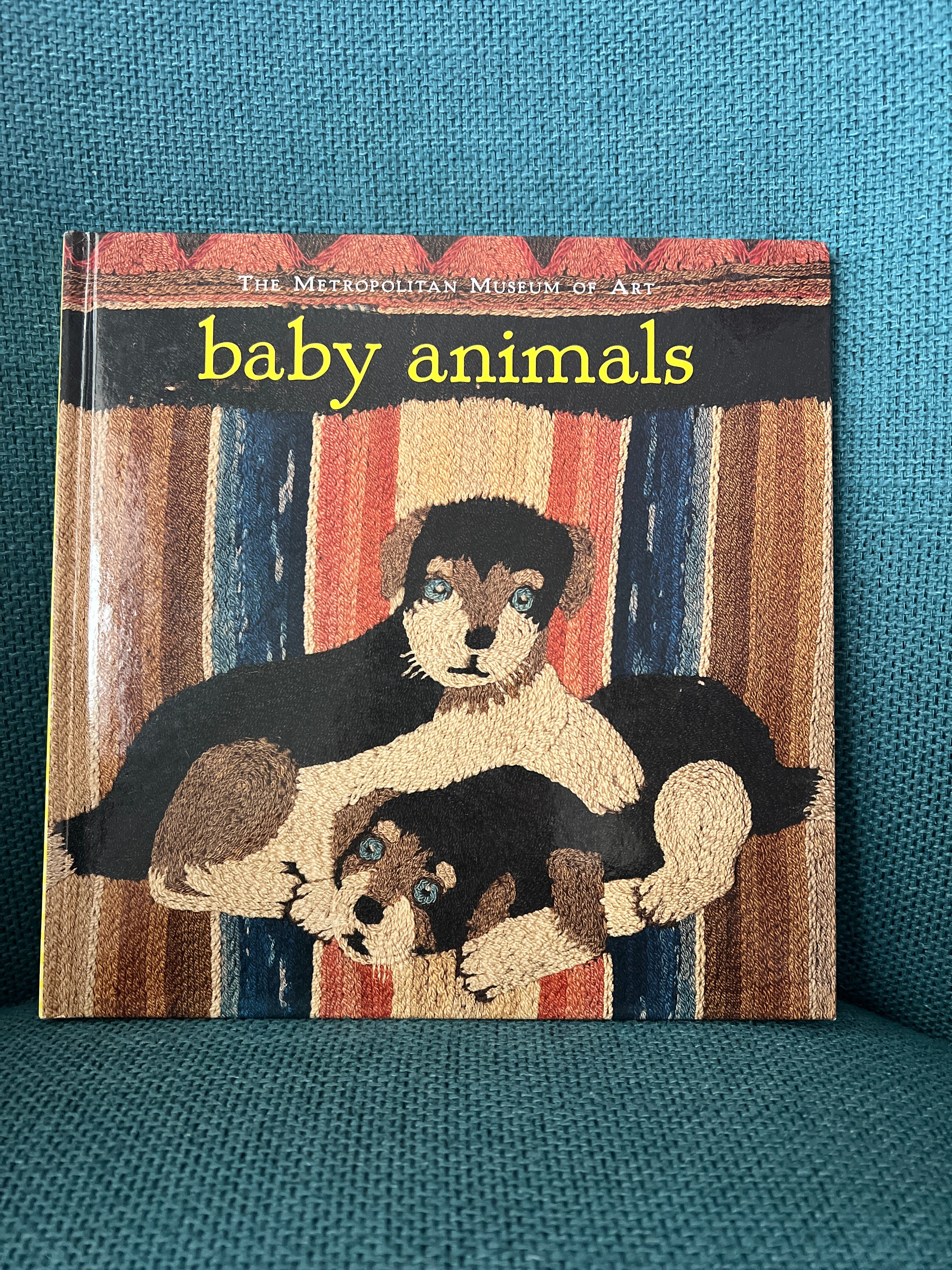 Baby Animals