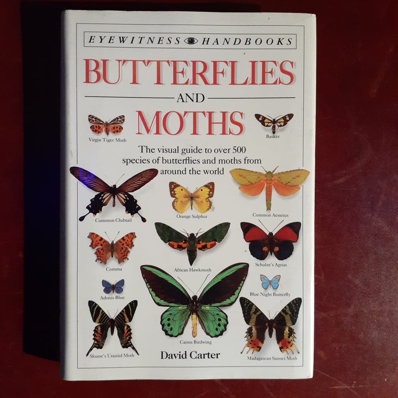 Butterflies and Moths
