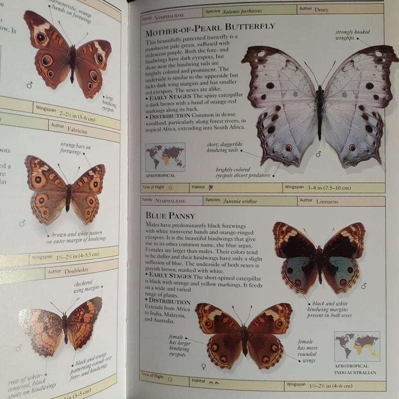 Butterflies and Moths