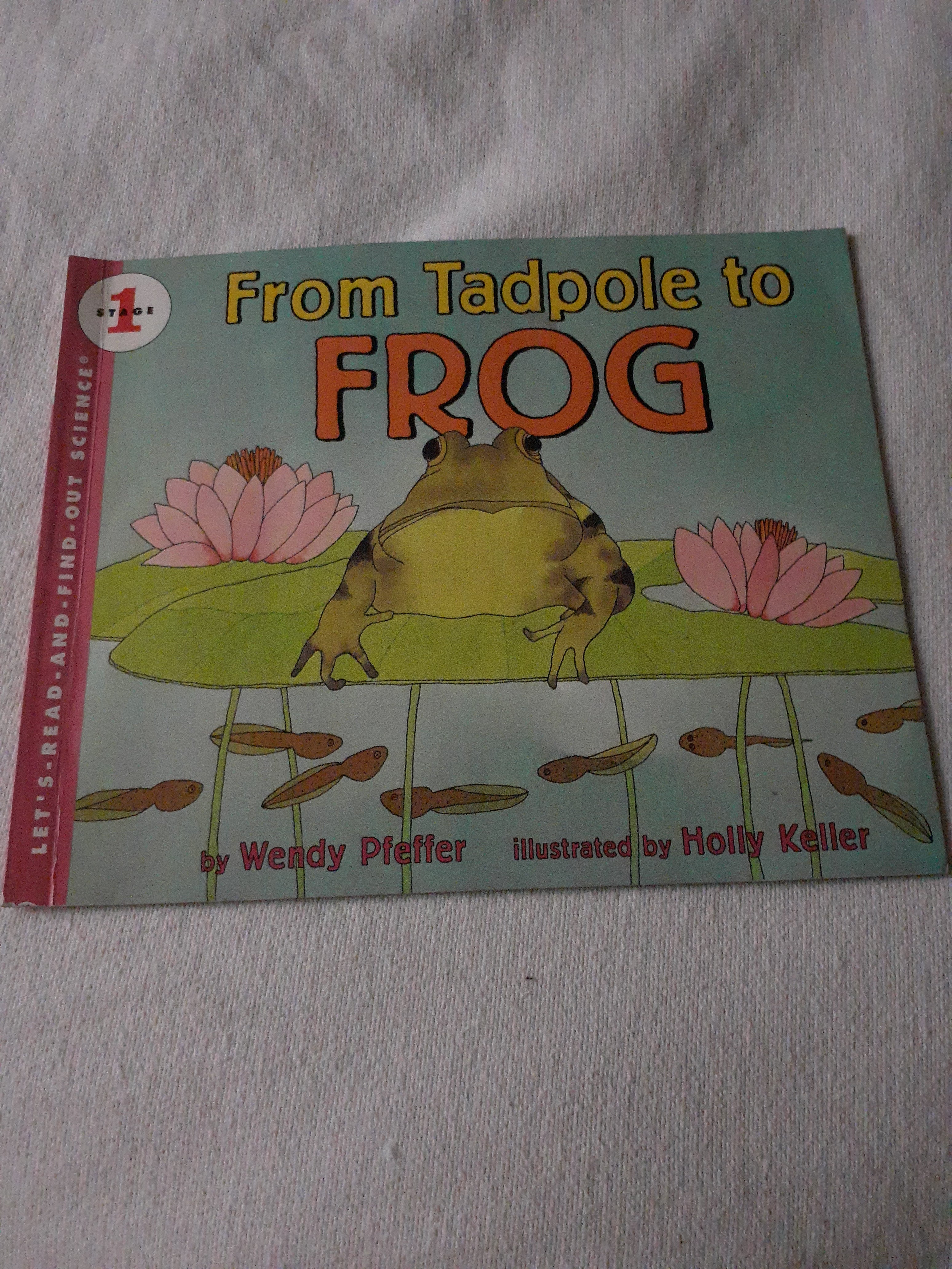 From Tadpole to Frog