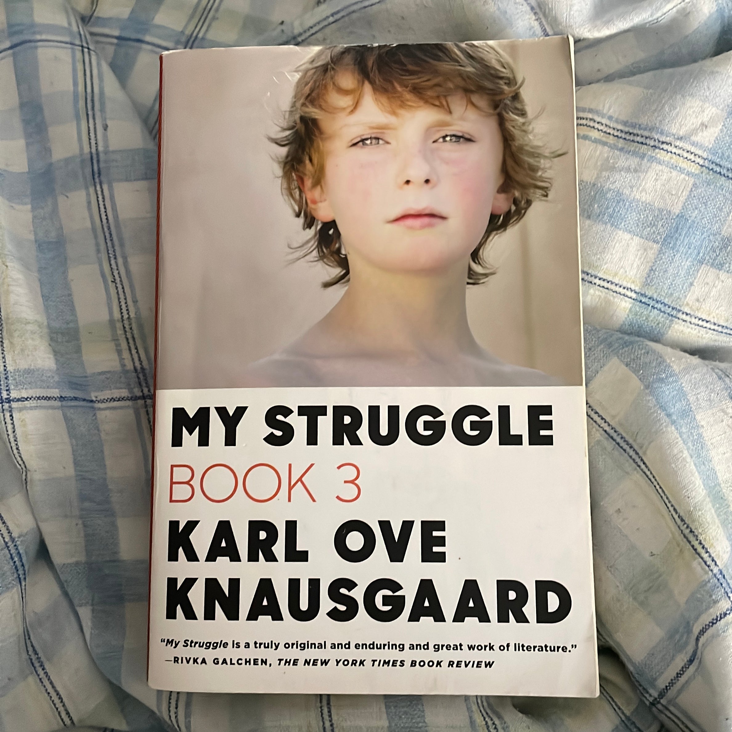 My Struggle: Book 3