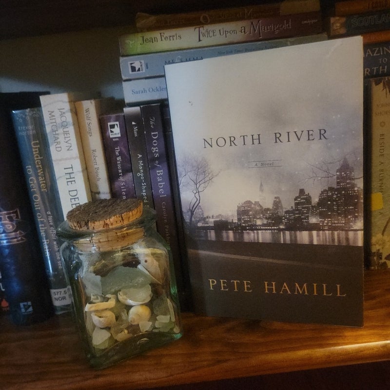 North River