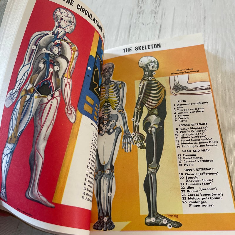 First Aid, Instruction of First Aid Classes