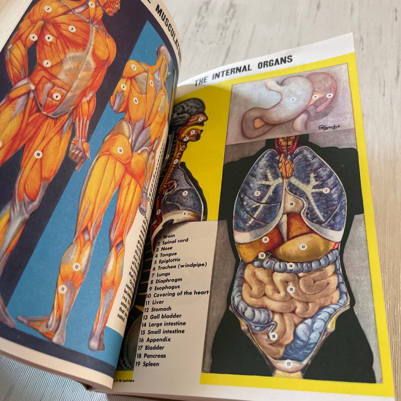 First Aid, Instruction of First Aid Classes