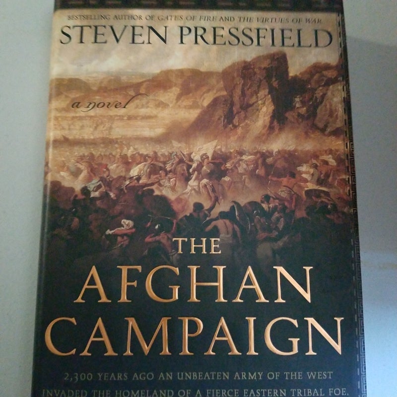 The Afghan campaign