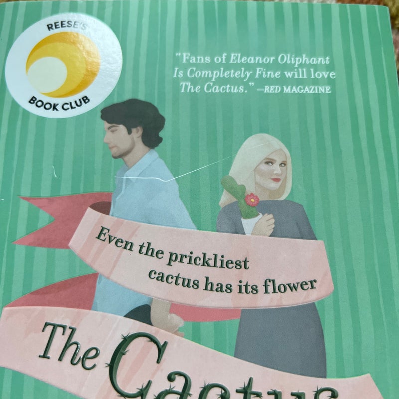 The Cactus