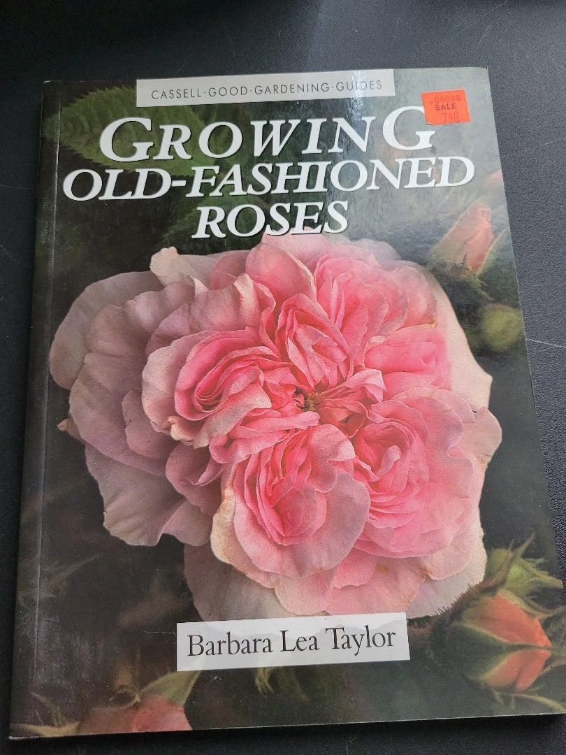 Growing Old-Fashioned Roses