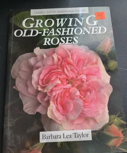 Growing Old-Fashioned Roses