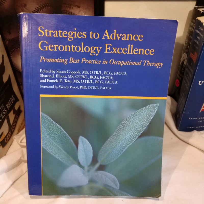 Strategies to Advance Gerontology Excellence