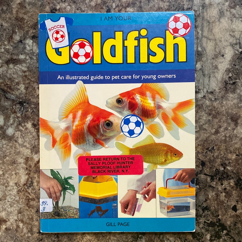 I am your Goldfish 