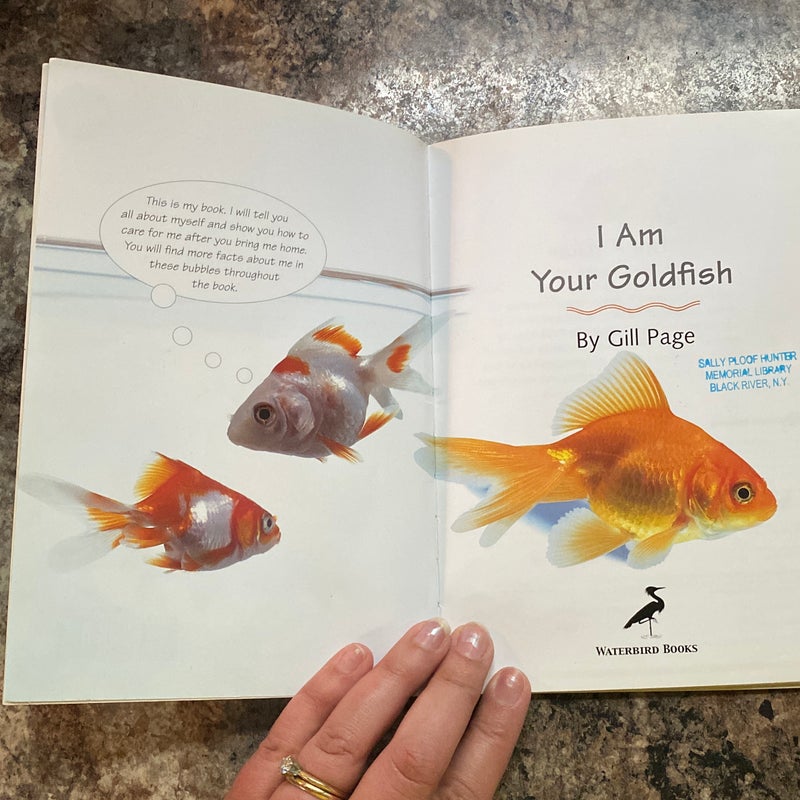 I am your Goldfish 