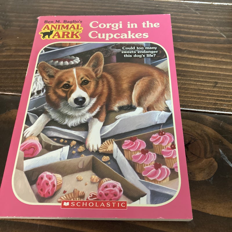 Corgi in the Cupcakes