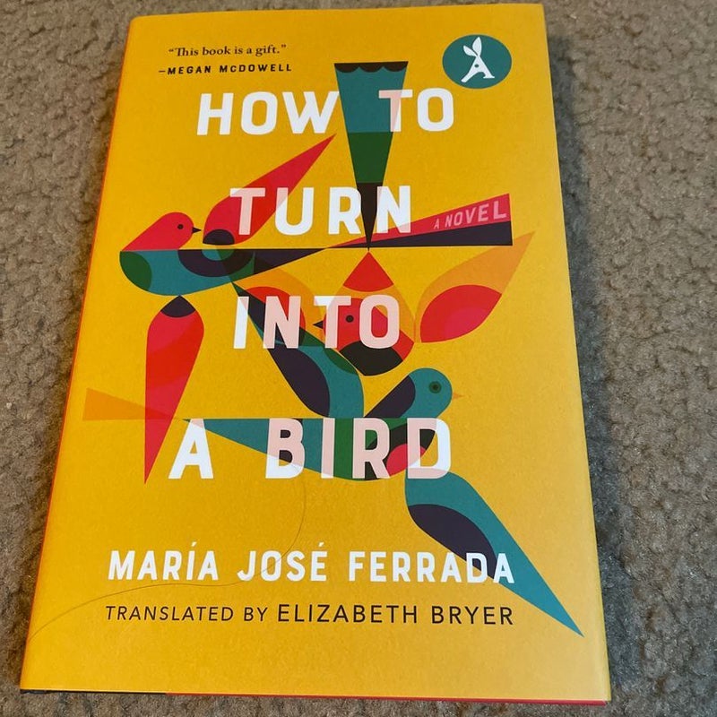 how-to-turn-into-a-bird