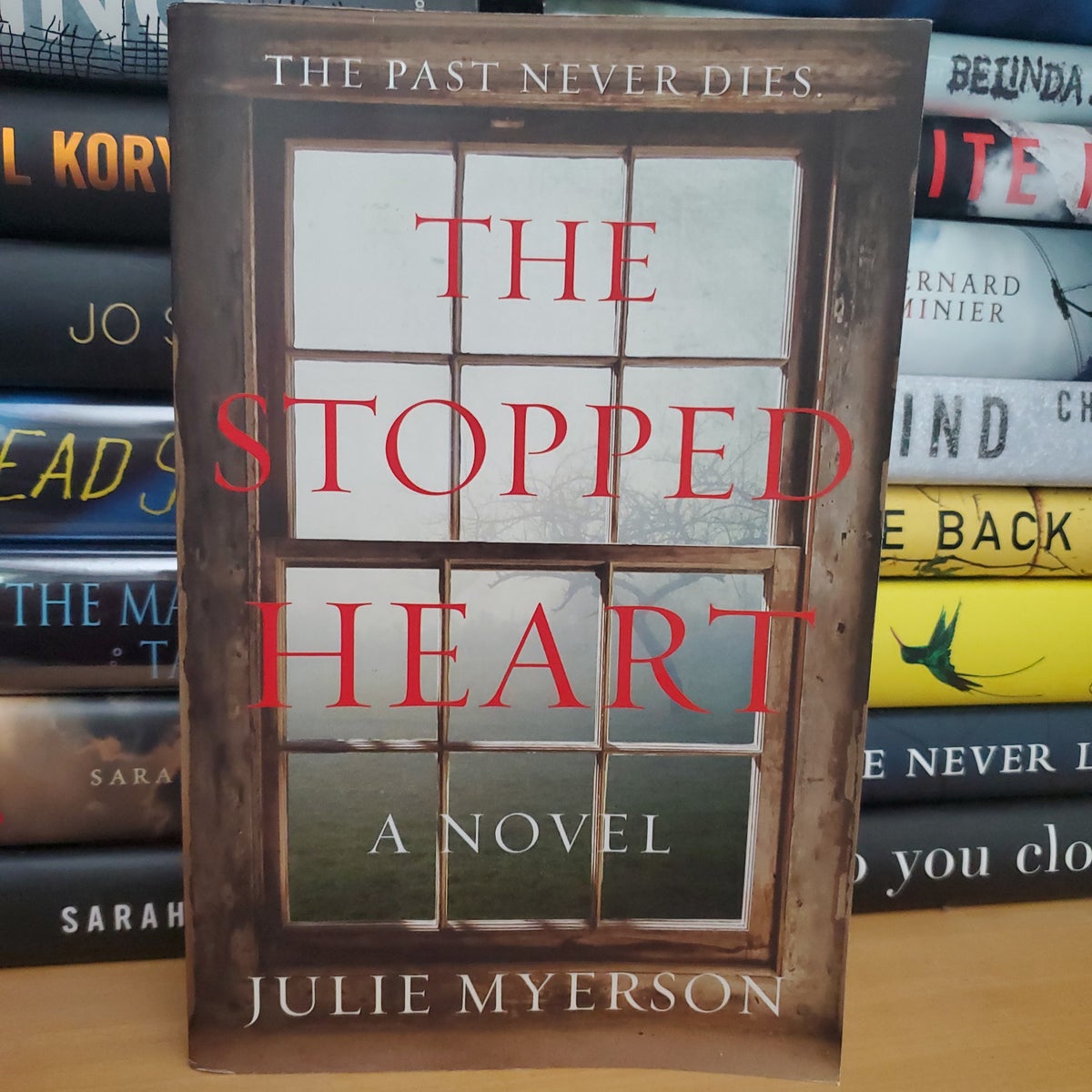 The Stopped Heart by Julie Myerson, Paperback
