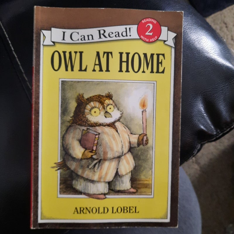 Owl at Home