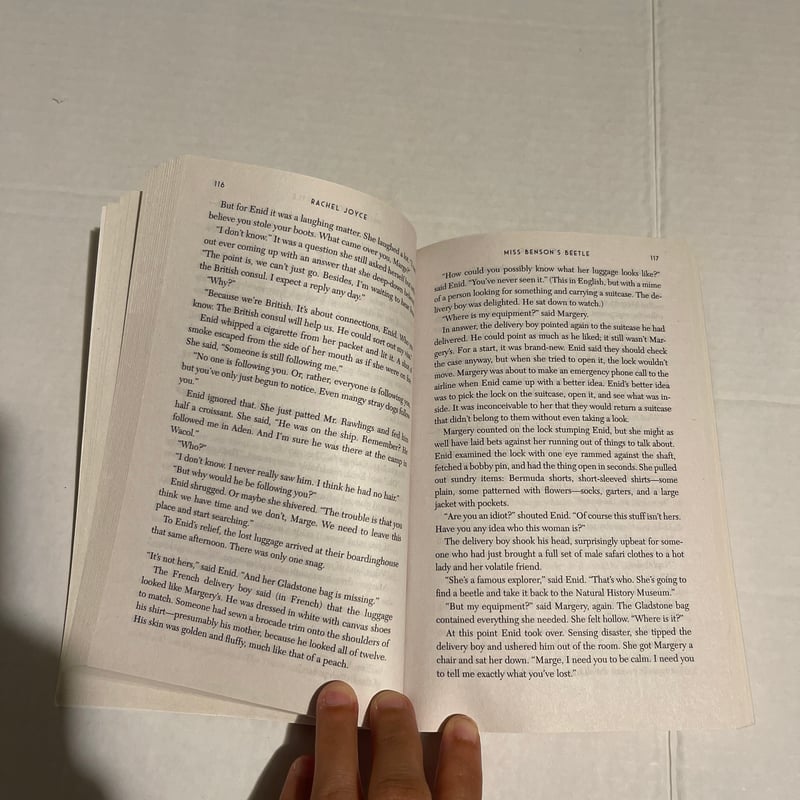 Miss Benson's Beetle