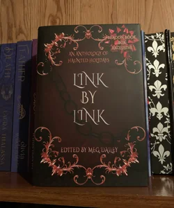 Link by Link Anthology-Beacon Book Box 