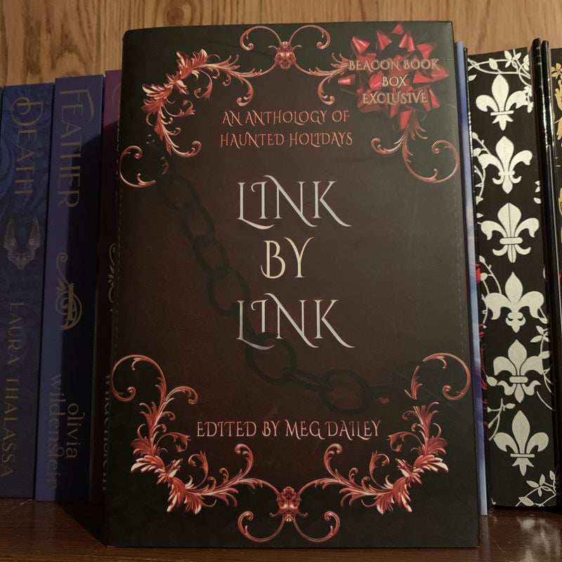 Link by Link Anthology-Beacon Book Box 
