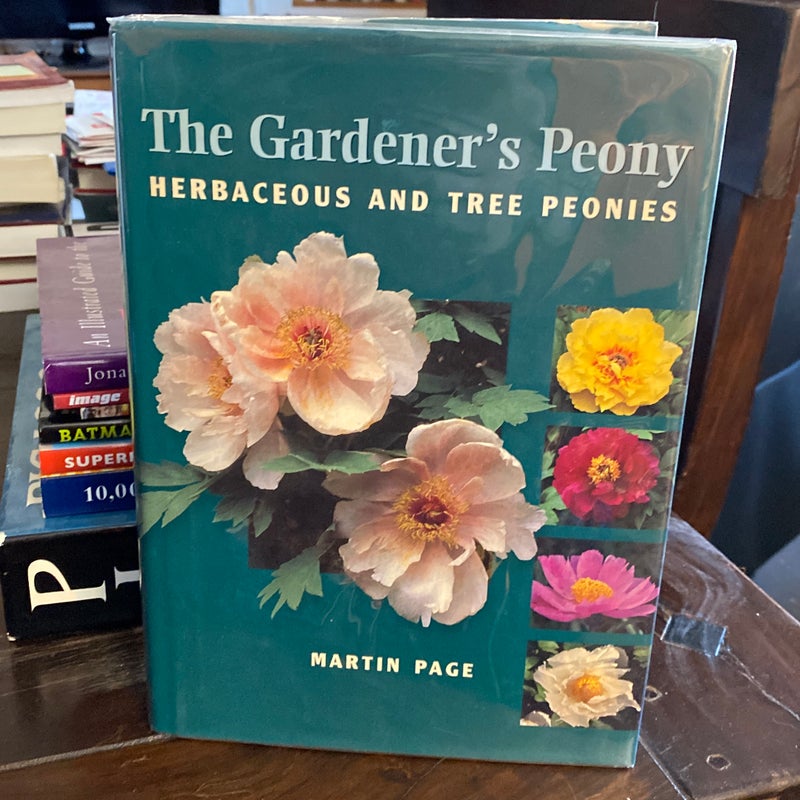 The Gardener's Peony