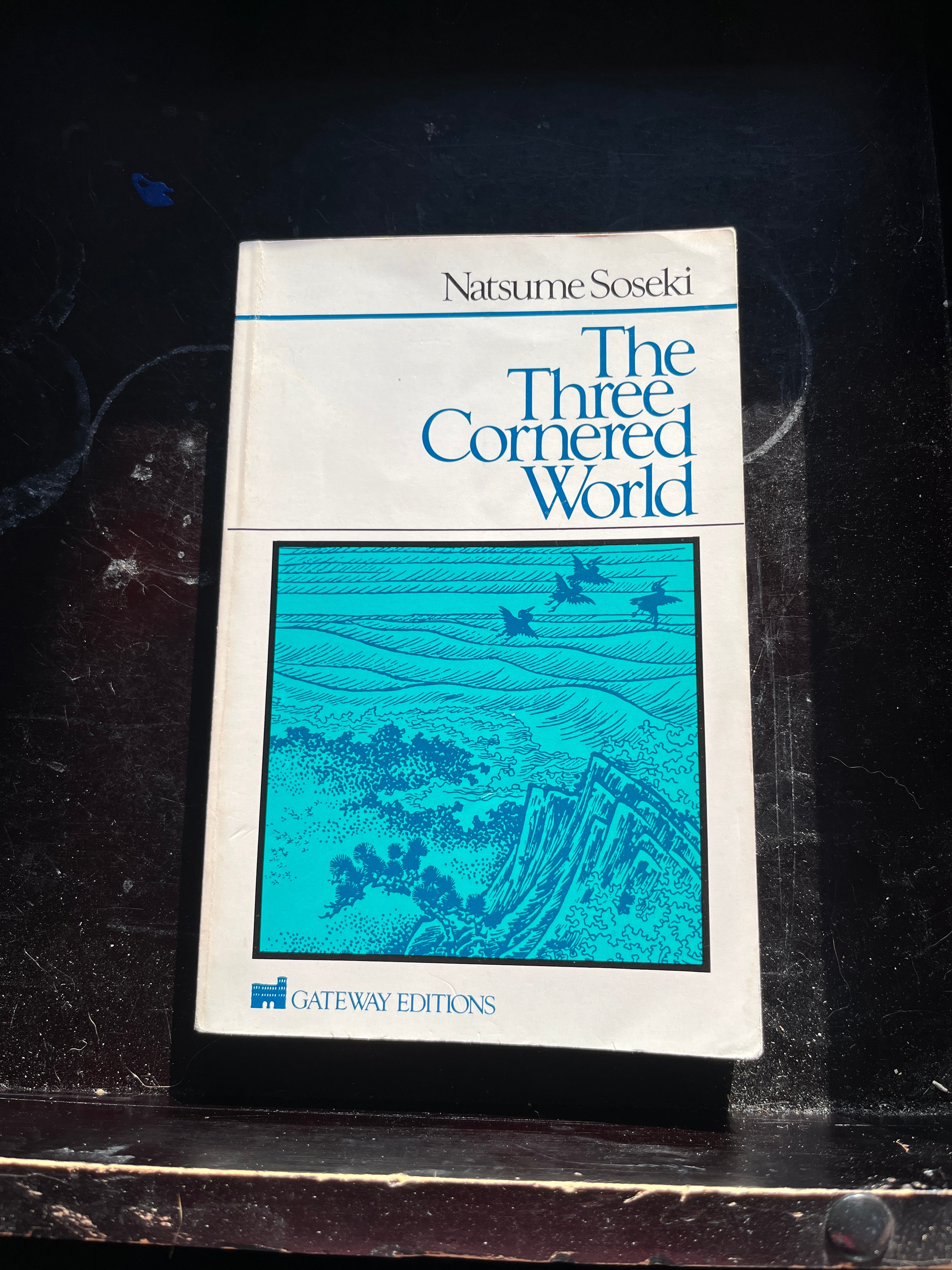 The Three Cornered World