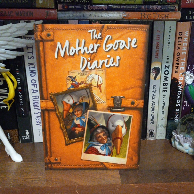 Adventures from the Land of Stories Boxed Set