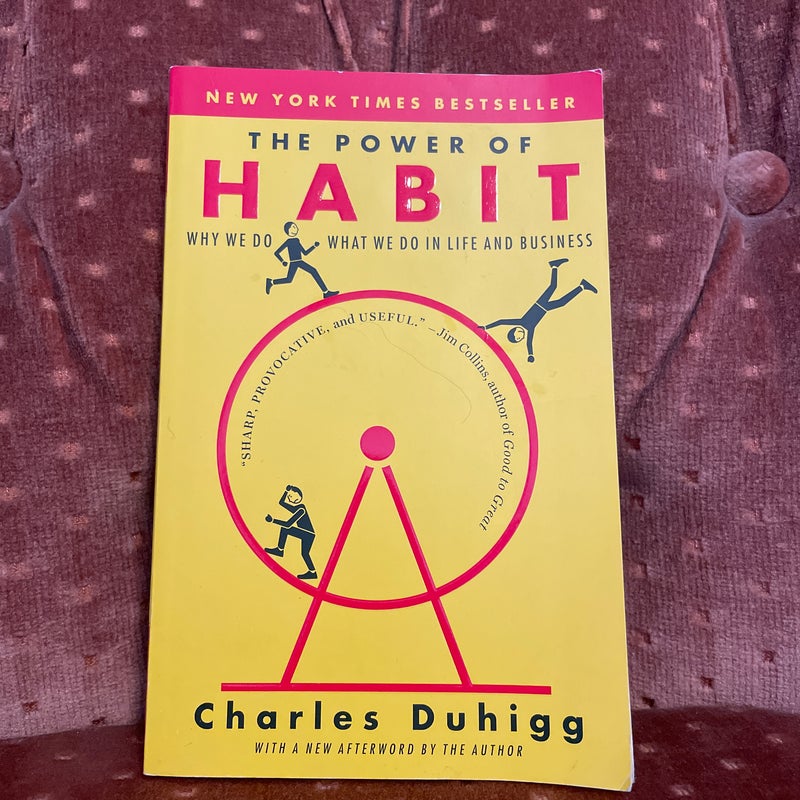 The Power of Habit