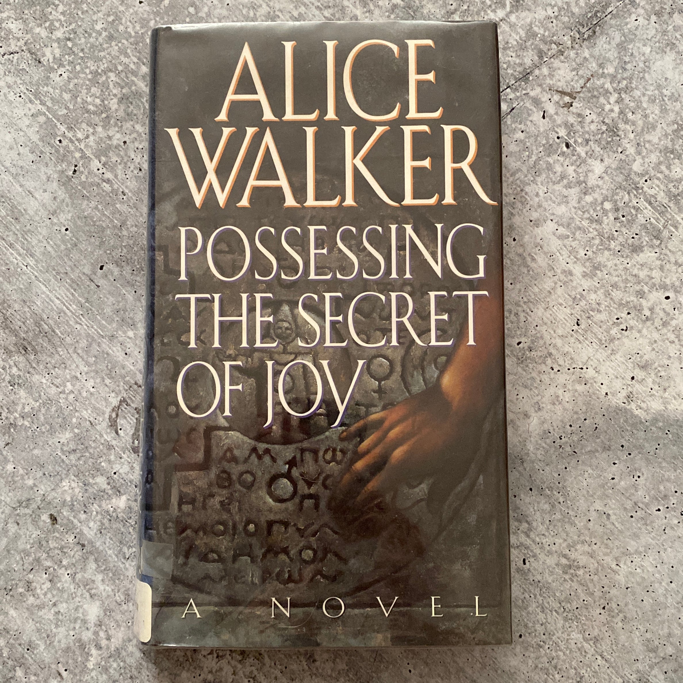 Possessing the Secret of Joy