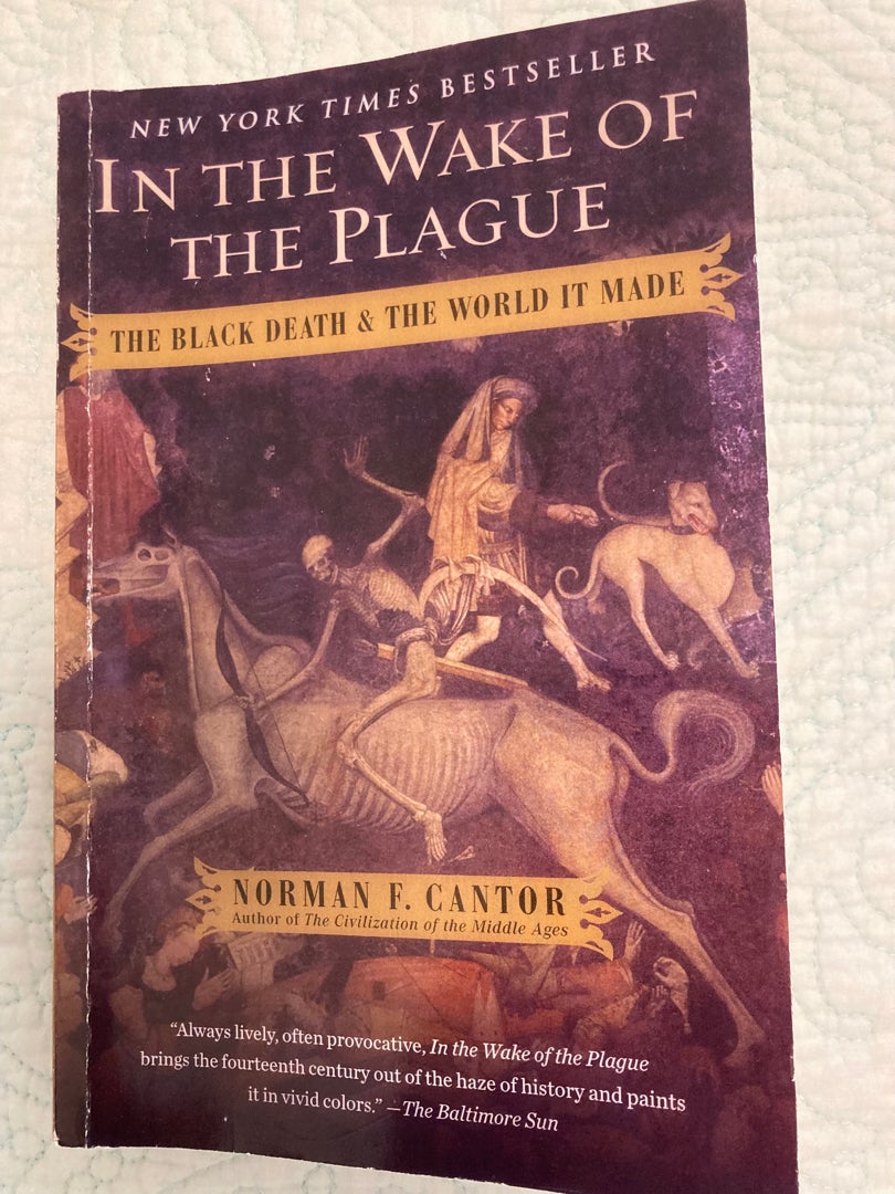 In the Wake of the Plague