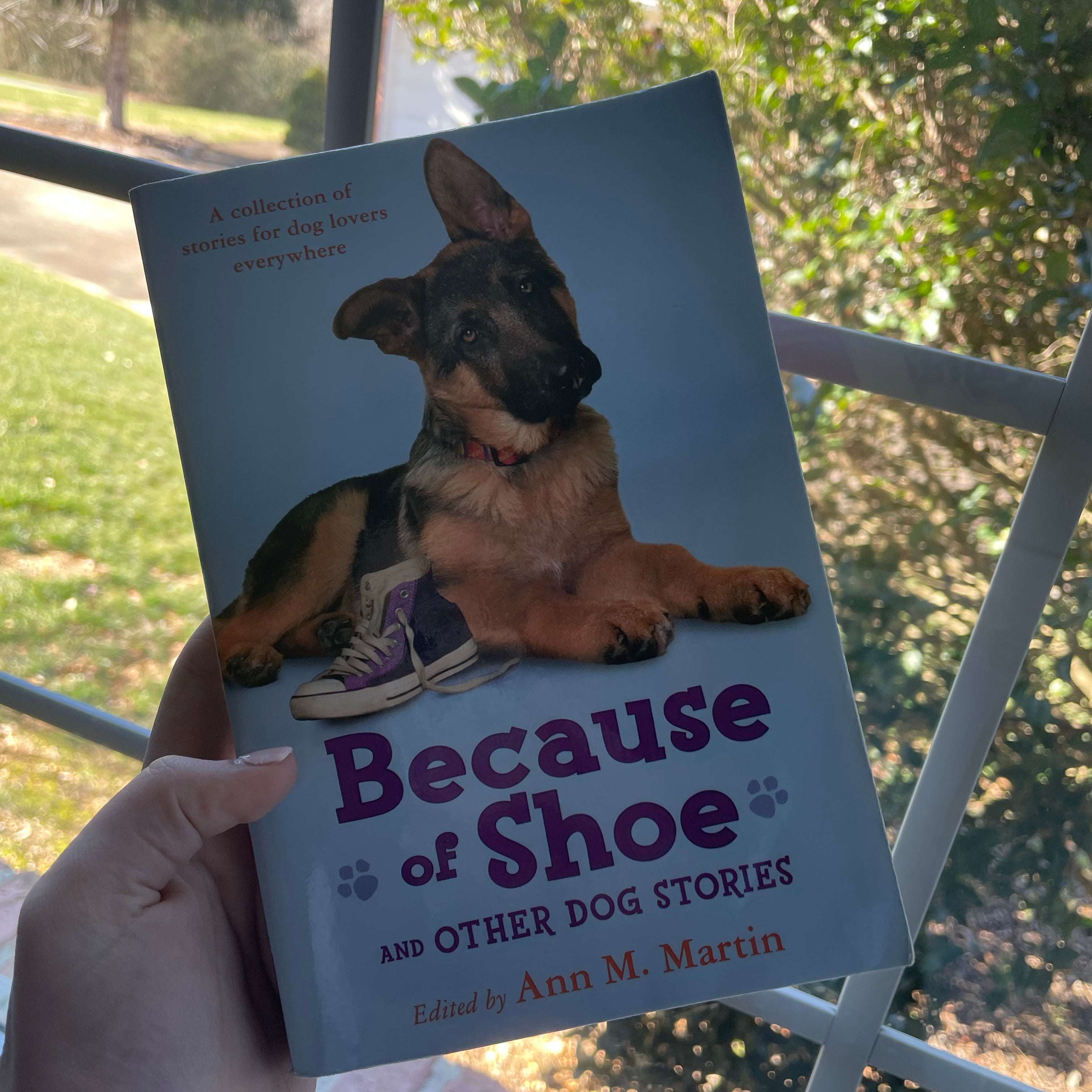 Because of Shoe and Other Dog Stories