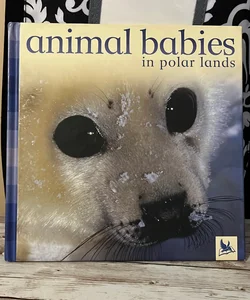 Animal Babies in Polar Lands