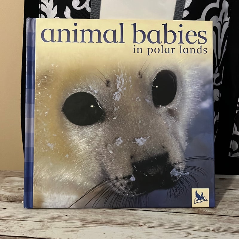 Animal Babies in Polar Lands