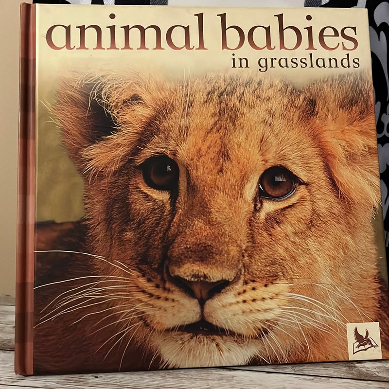 Animal Babies in Grasslands