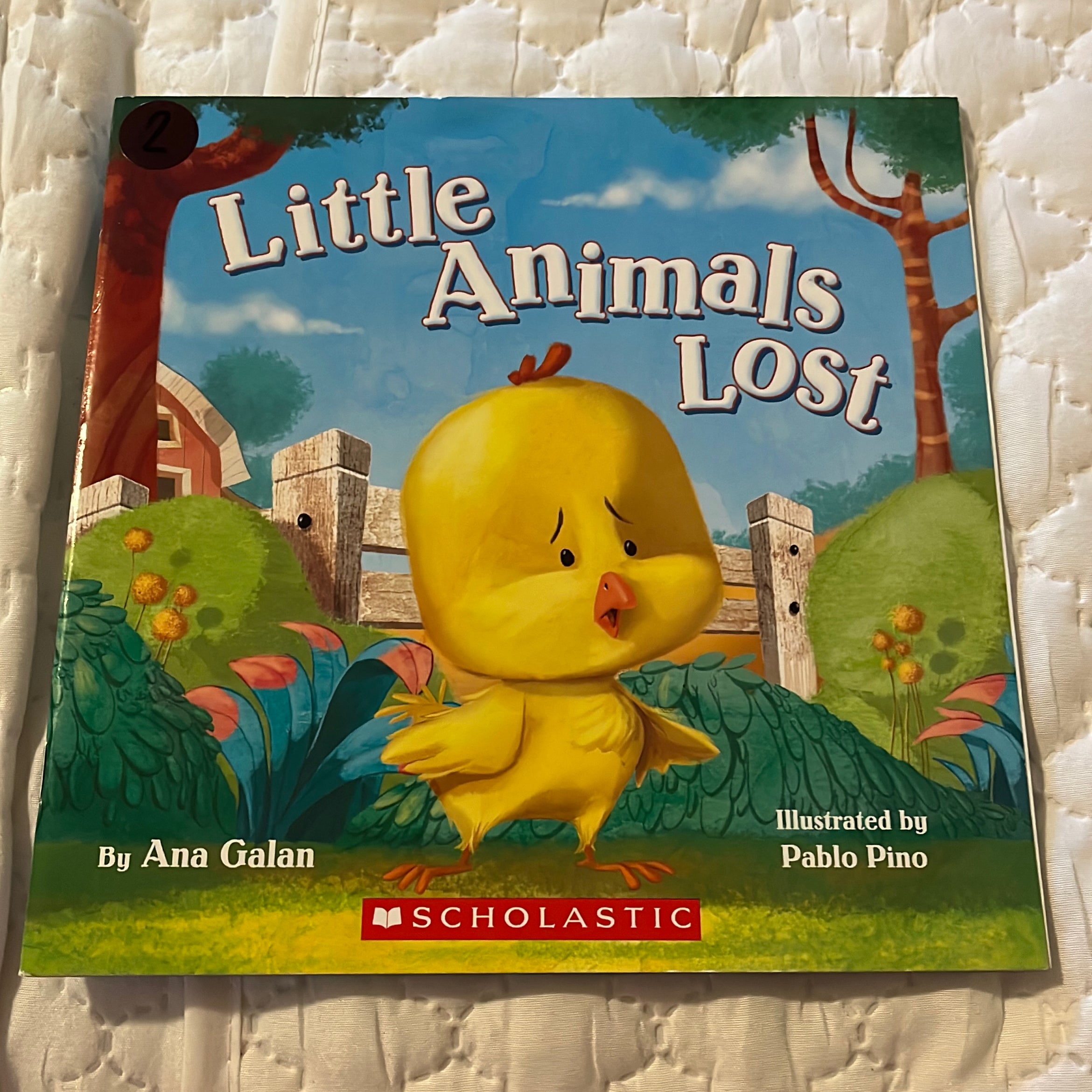 Little Animals Lost