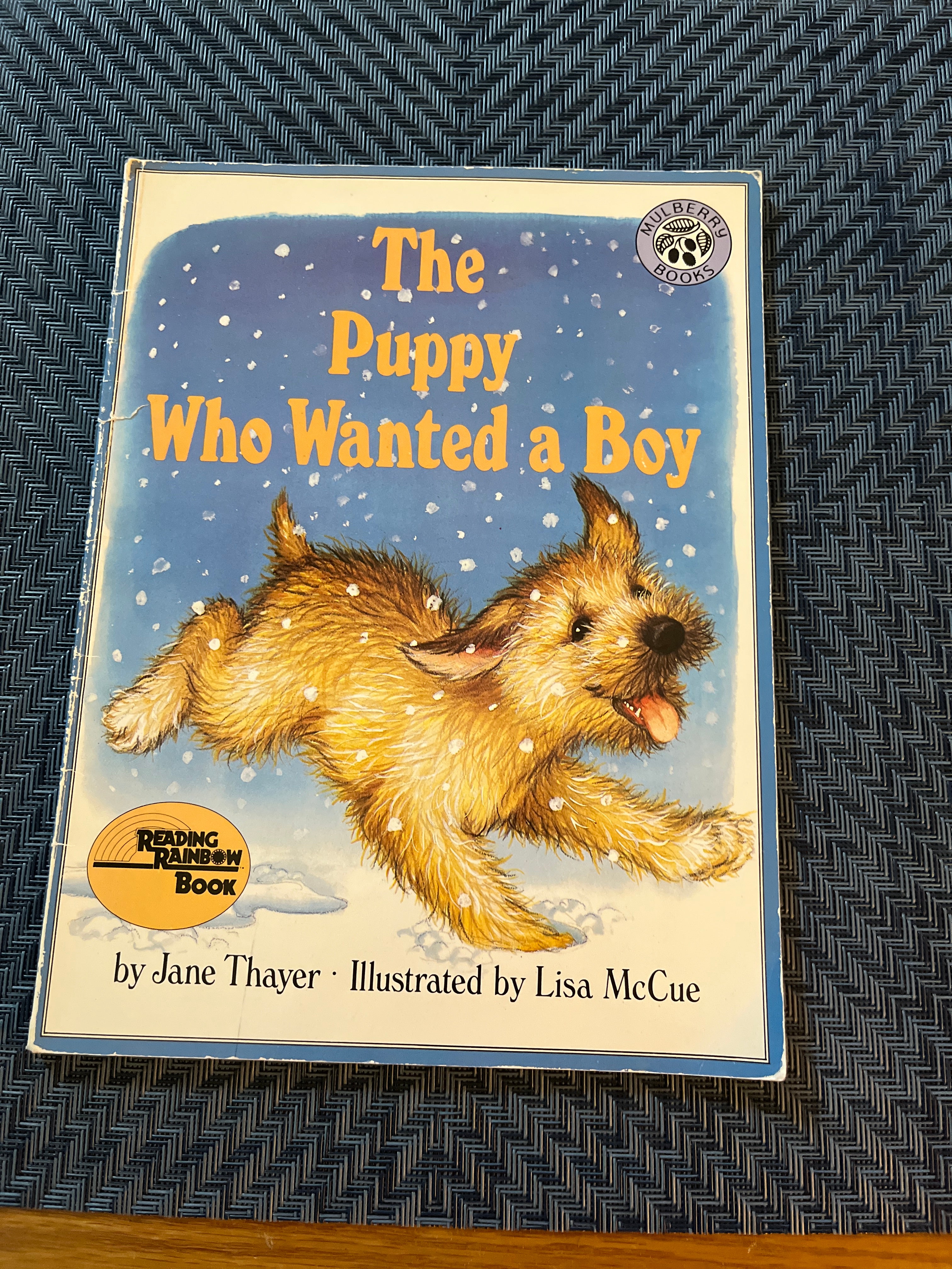 The Puppy Who Wanted a Boy