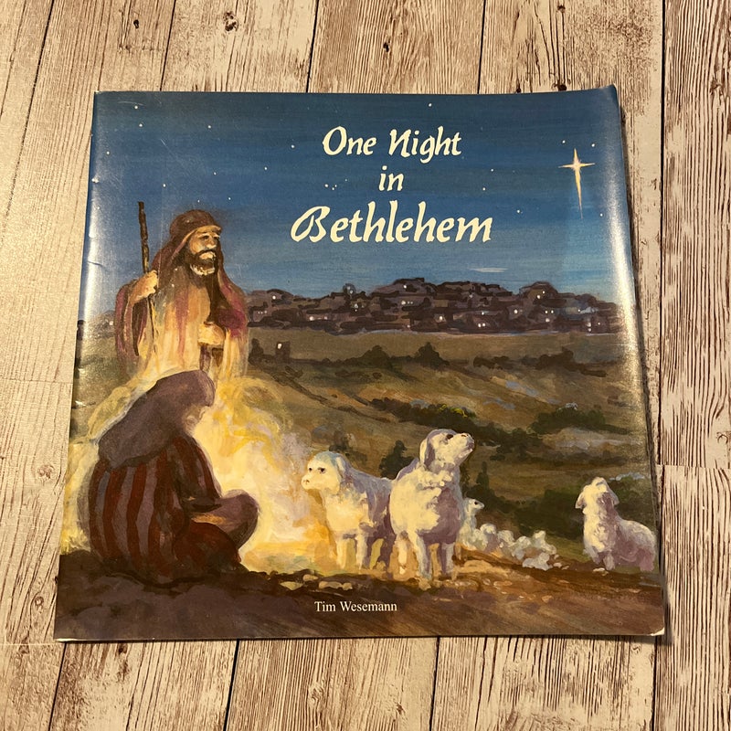 One Night in Bethlehem