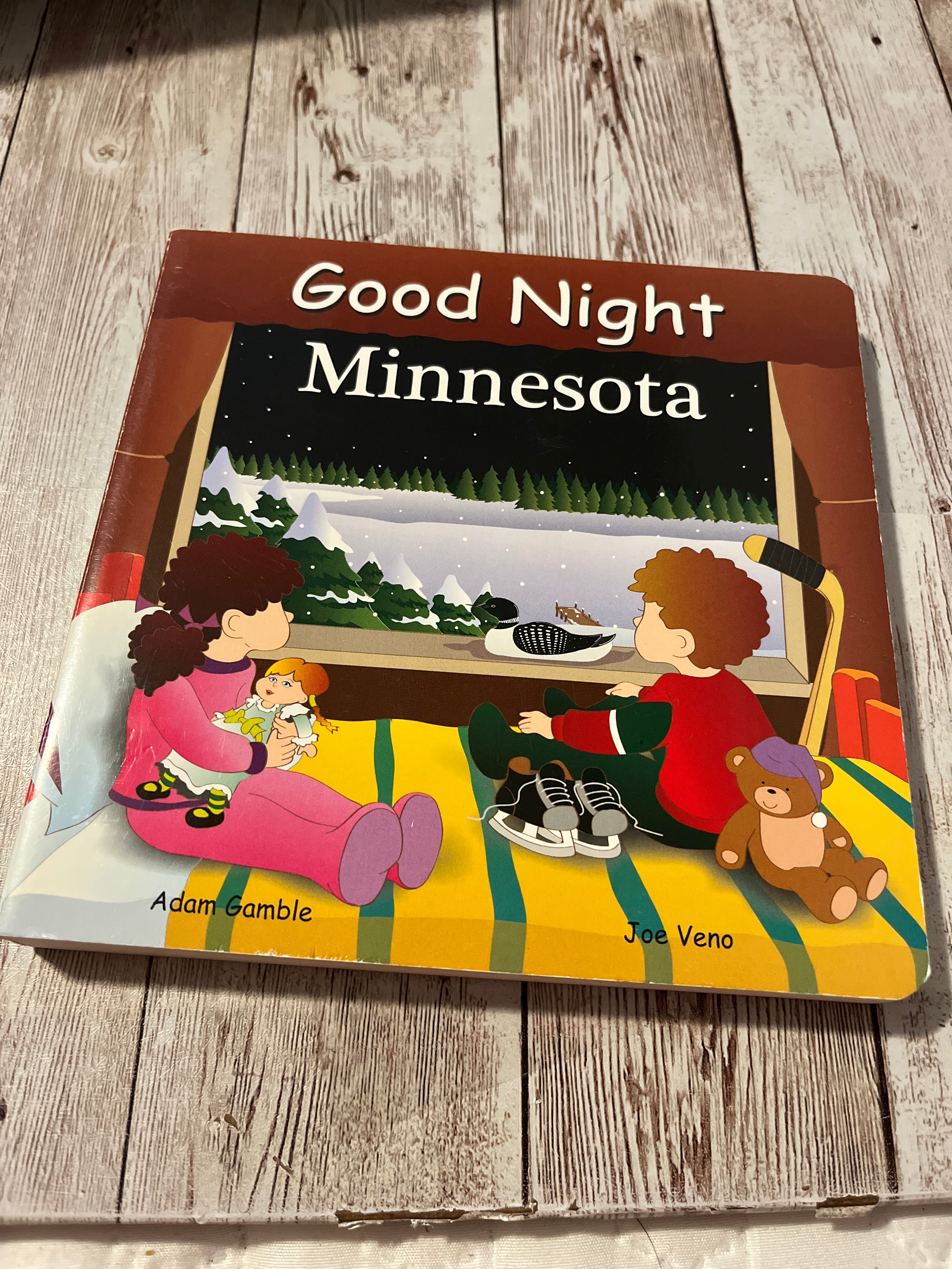 Good Night Minnesota