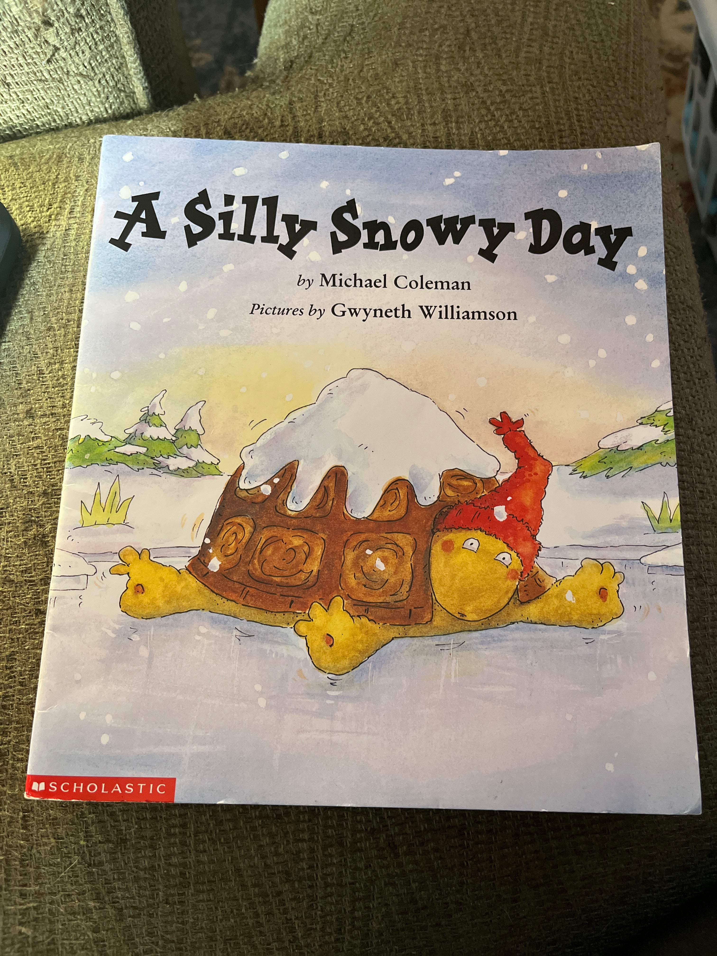 A Silly Snowy Day