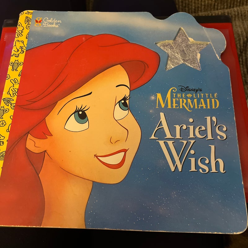 Ariel's Wish