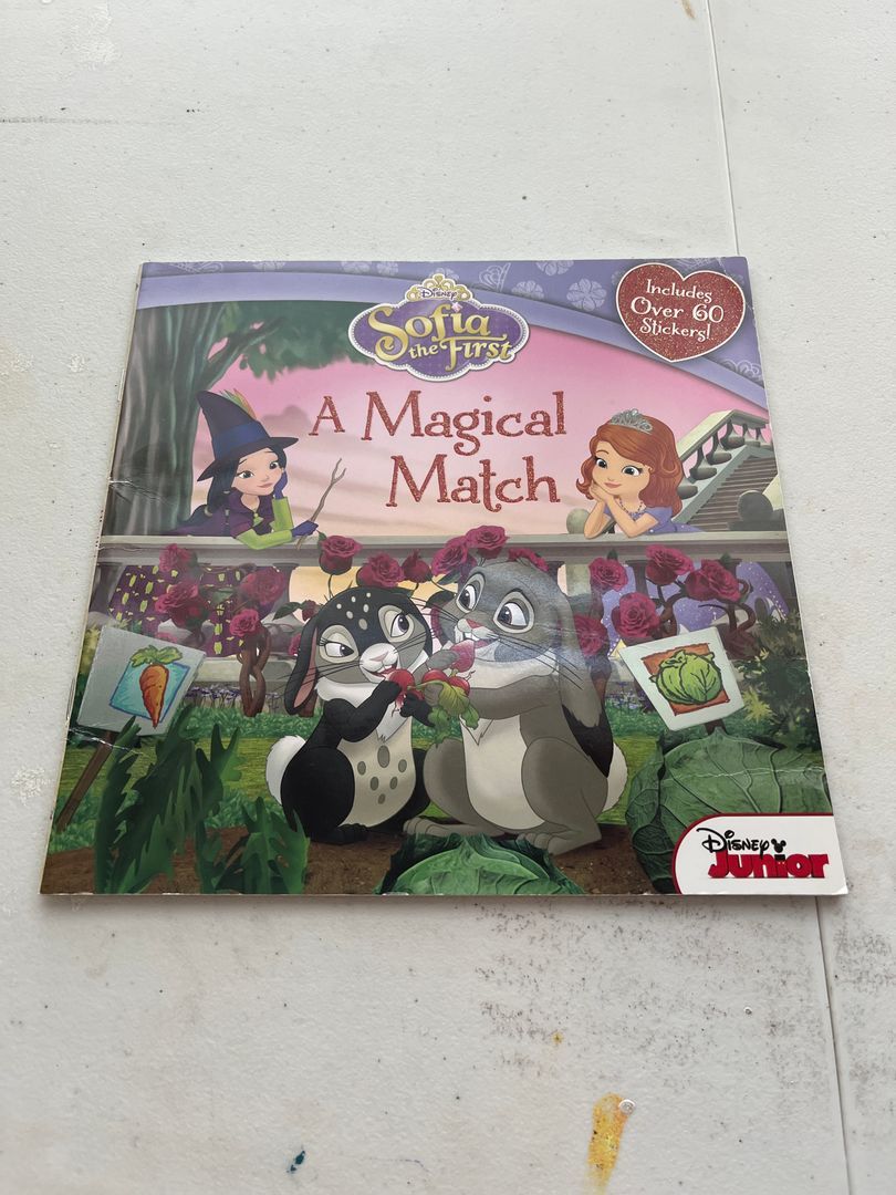 Sofia the First a Magical Match