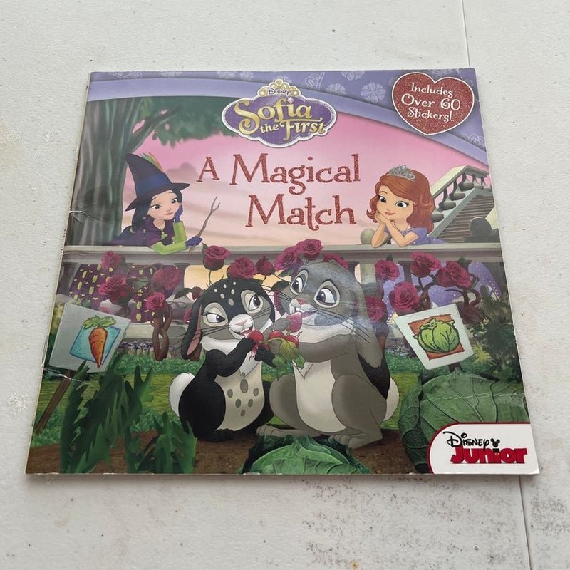 Sofia the First a Magical Match